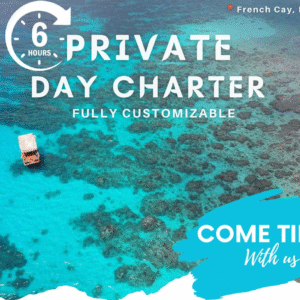 Private 6 Hour Tiki Boat Charter with Open Bar & Island Lunch