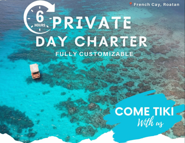Private 6 Hour Tiki Boat Charter with Open Bar & Island Lunch