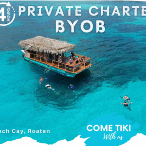 Private 4 Hour BYOB Tiki Boat Charter with Snorkeling Fun