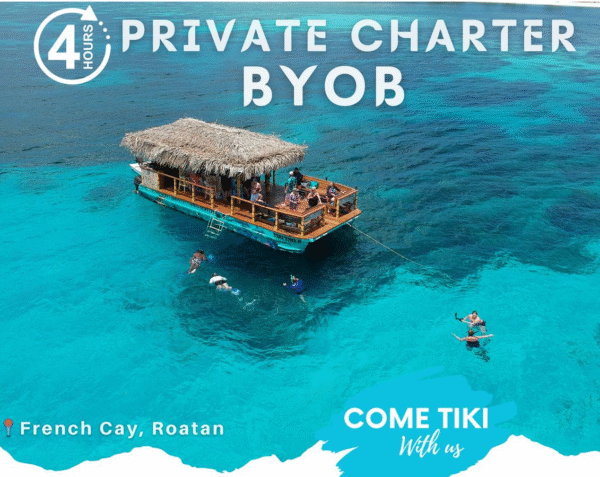 Private 4 Hour BYOB Tiki Boat Charter with Snorkeling Fun